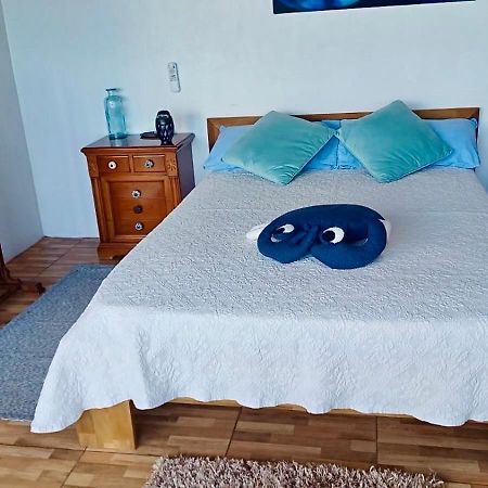 Atico De La Pardela Apartment La Laguna  Ngoại thất bức ảnh